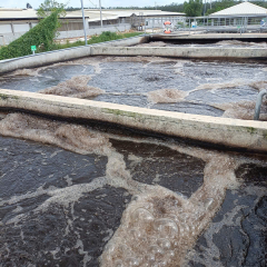 Giải pháp Xử lý Nước thải Chăn nuôi Hiệu Quả – PTECHCOR