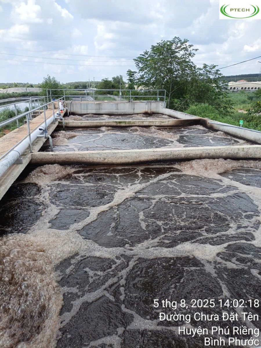 hệ thống xử lý nước thải chăn nuôi heo chuẩn QCVN 622025 – PTECHCOR
