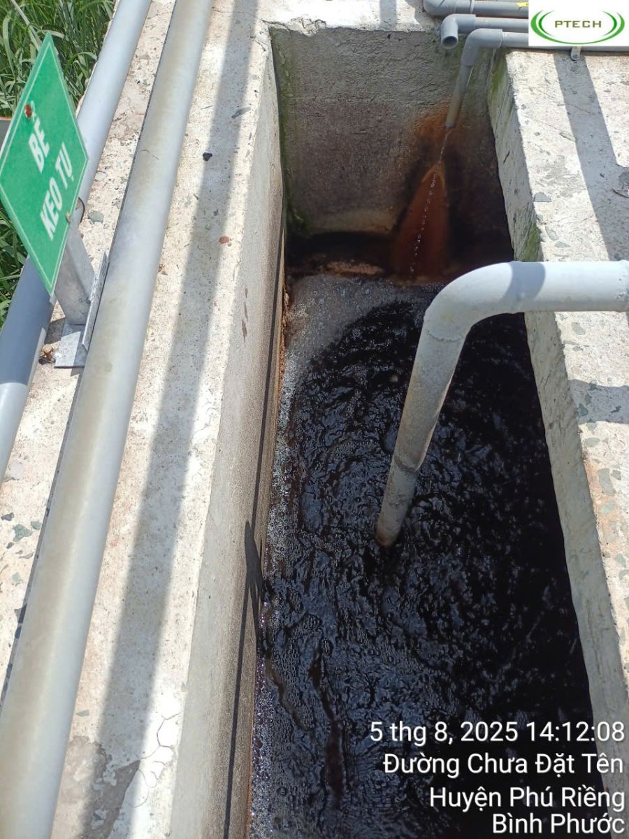 hệ thống xử lý nước thải chăn nuôi heo chuẩn QCVN 622025 – PTECHCOR