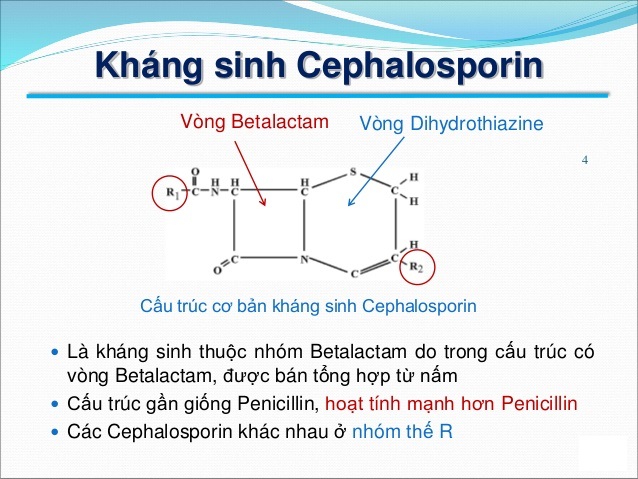 Cephalosporin